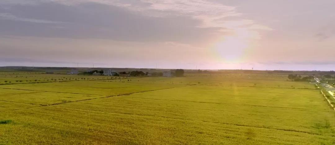 Z6尊龙·凯时(中国)-官方网站