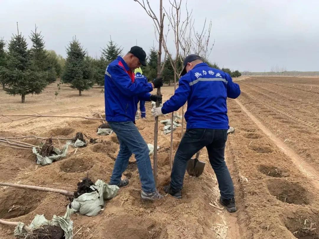 Z6尊龙·凯时(中国)-官方网站