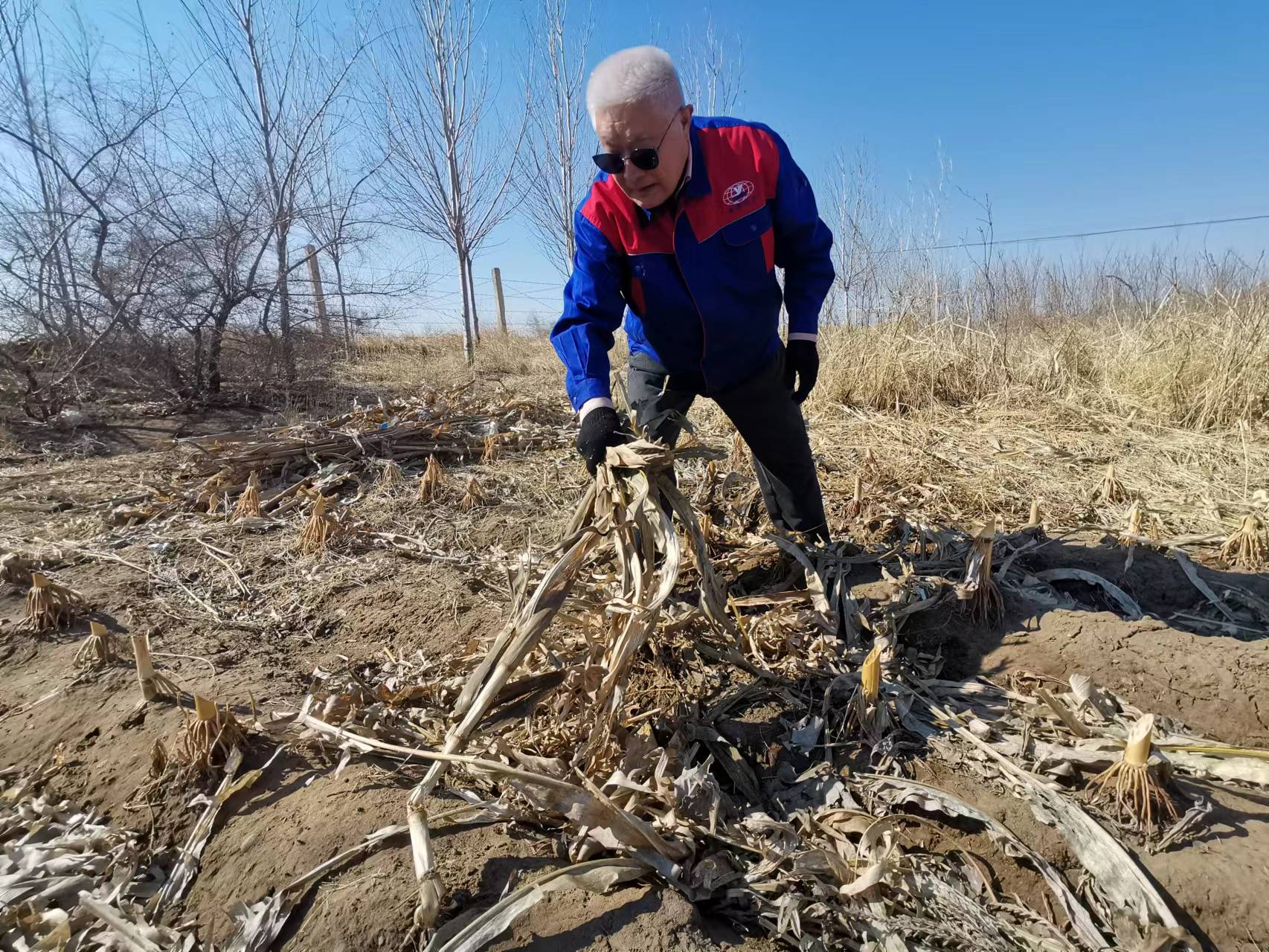 Z6尊龙·凯时(中国)-官方网站