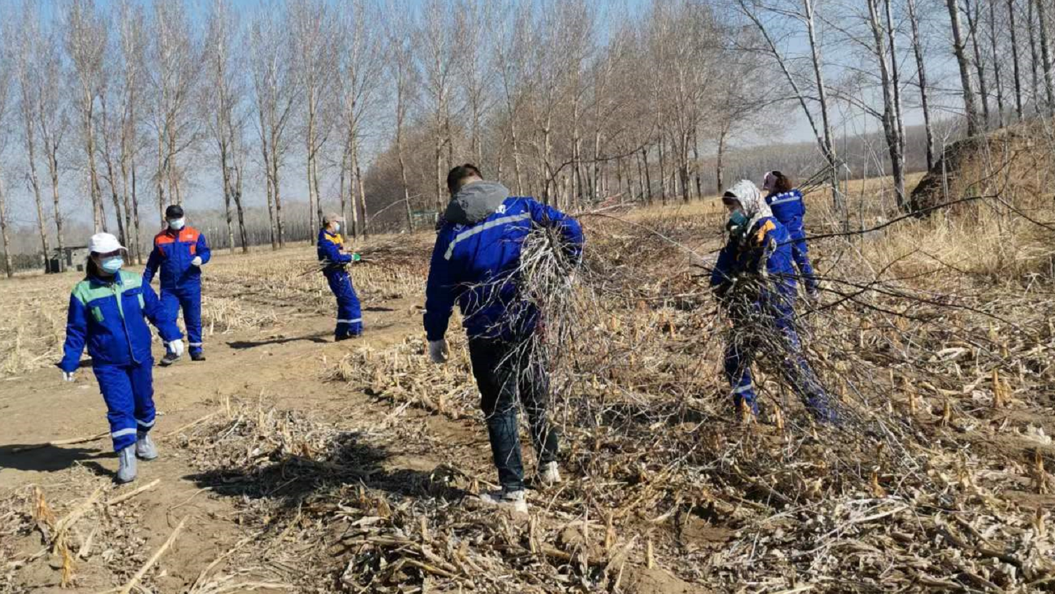 Z6尊龙·凯时(中国)-官方网站