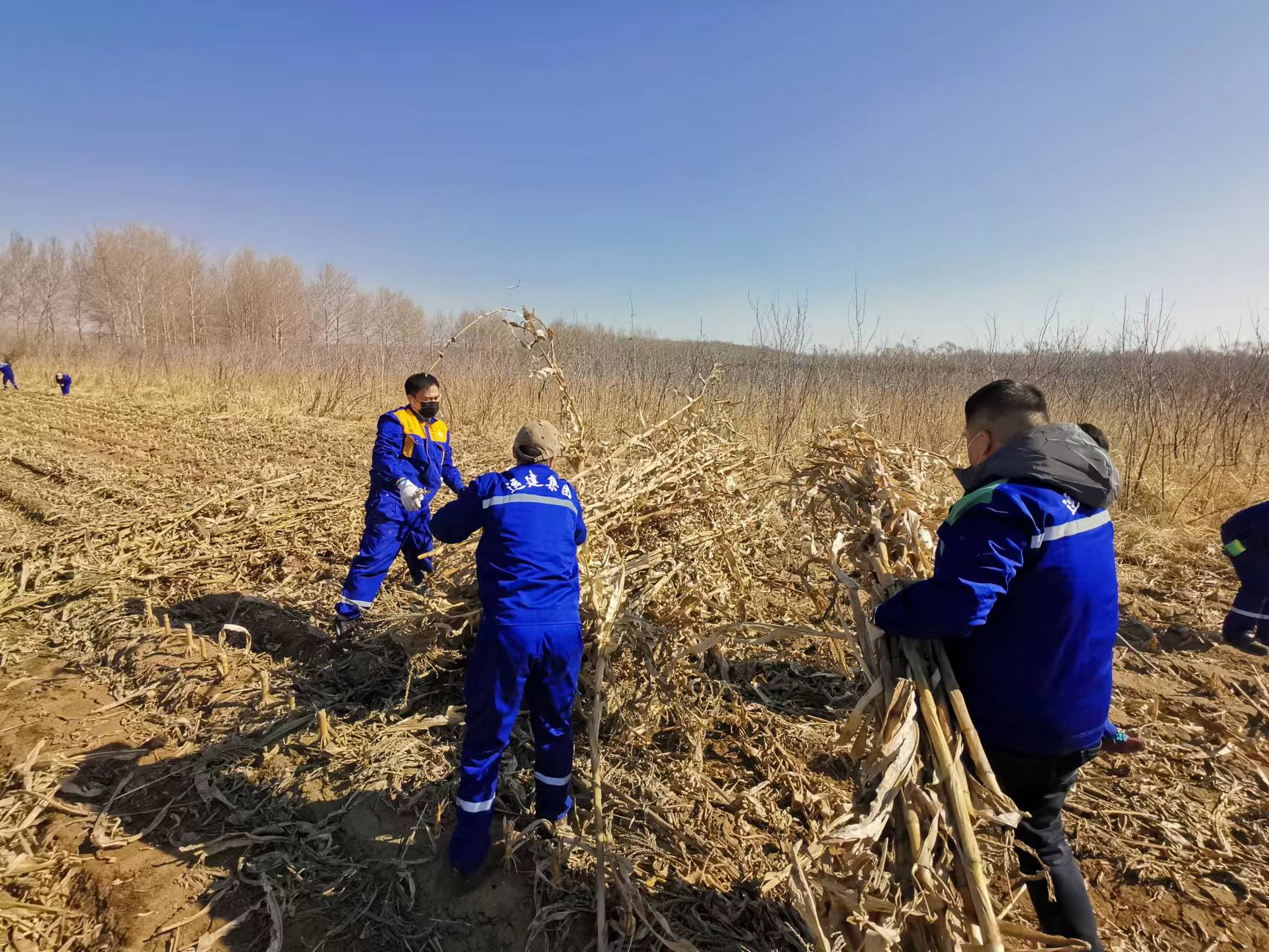 Z6尊龙·凯时(中国)-官方网站