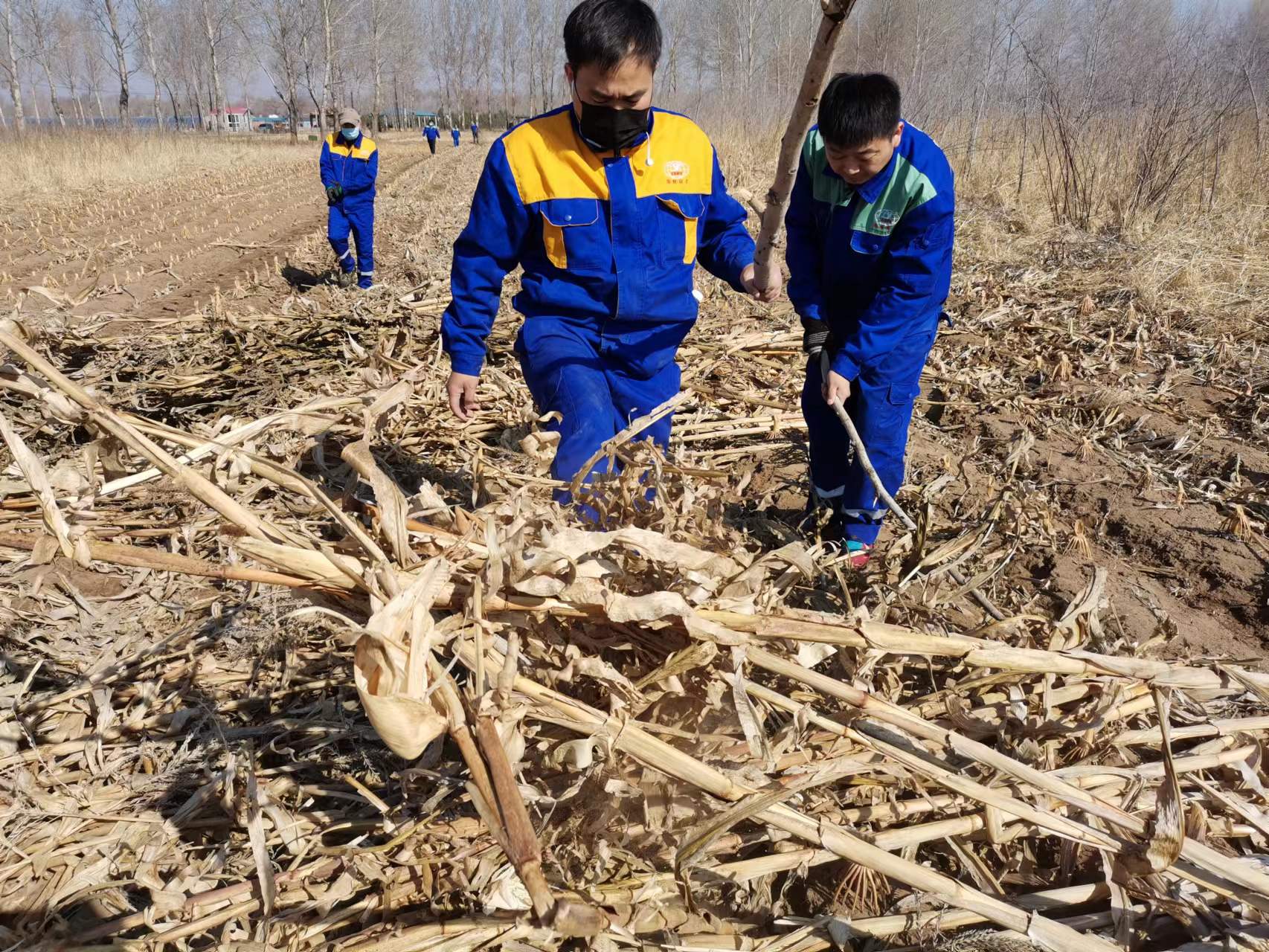 Z6尊龙·凯时(中国)-官方网站