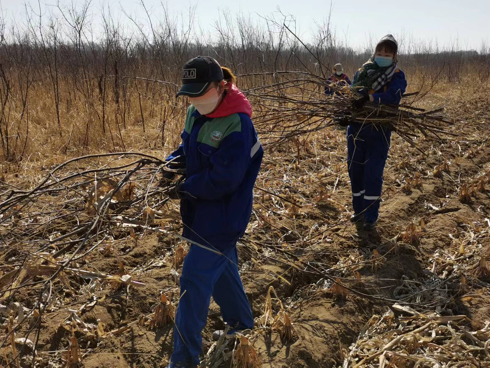 Z6尊龙·凯时(中国)-官方网站