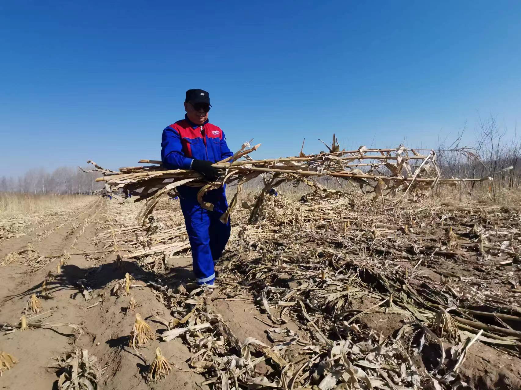 Z6尊龙·凯时(中国)-官方网站