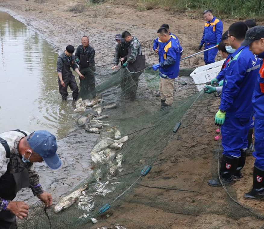 Z6尊龙·凯时(中国)-官方网站