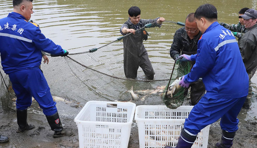 Z6尊龙·凯时(中国)-官方网站
