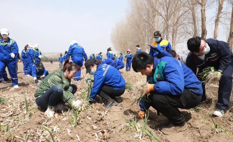 Z6尊龙·凯时(中国)-官方网站