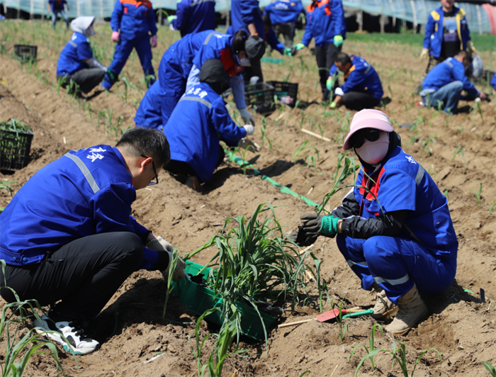 Z6尊龙·凯时(中国)-官方网站