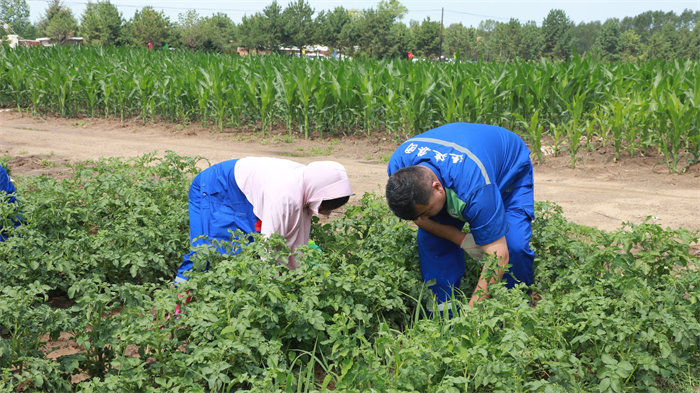 Z6尊龙·凯时(中国)-官方网站